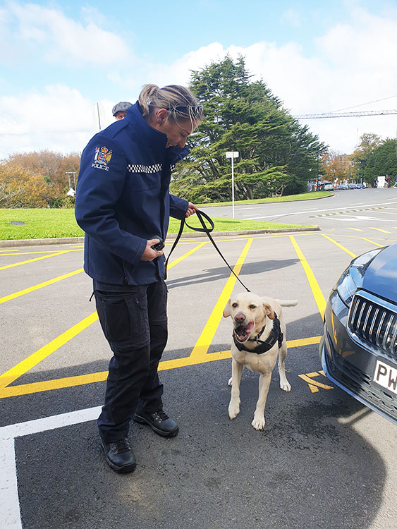 NZ Police demonstration